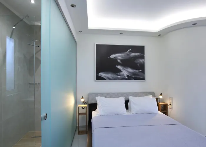 Sea Horizon Private Luxury Lefkada Sea View Private Pool Station touristique *