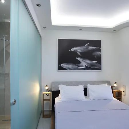 Goudis Luxury Lefkada Sea View & Private Pools Resort *